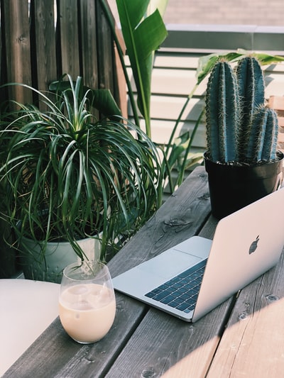 绿色植物旁的银色macbook